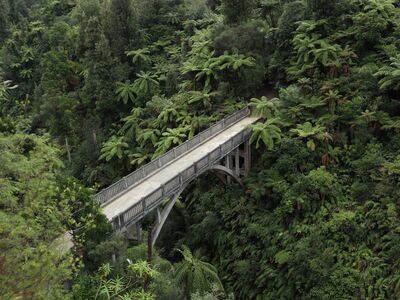 A concrete arch bridge spanning a steep gorge densely filled with tree ferns and green rainforest