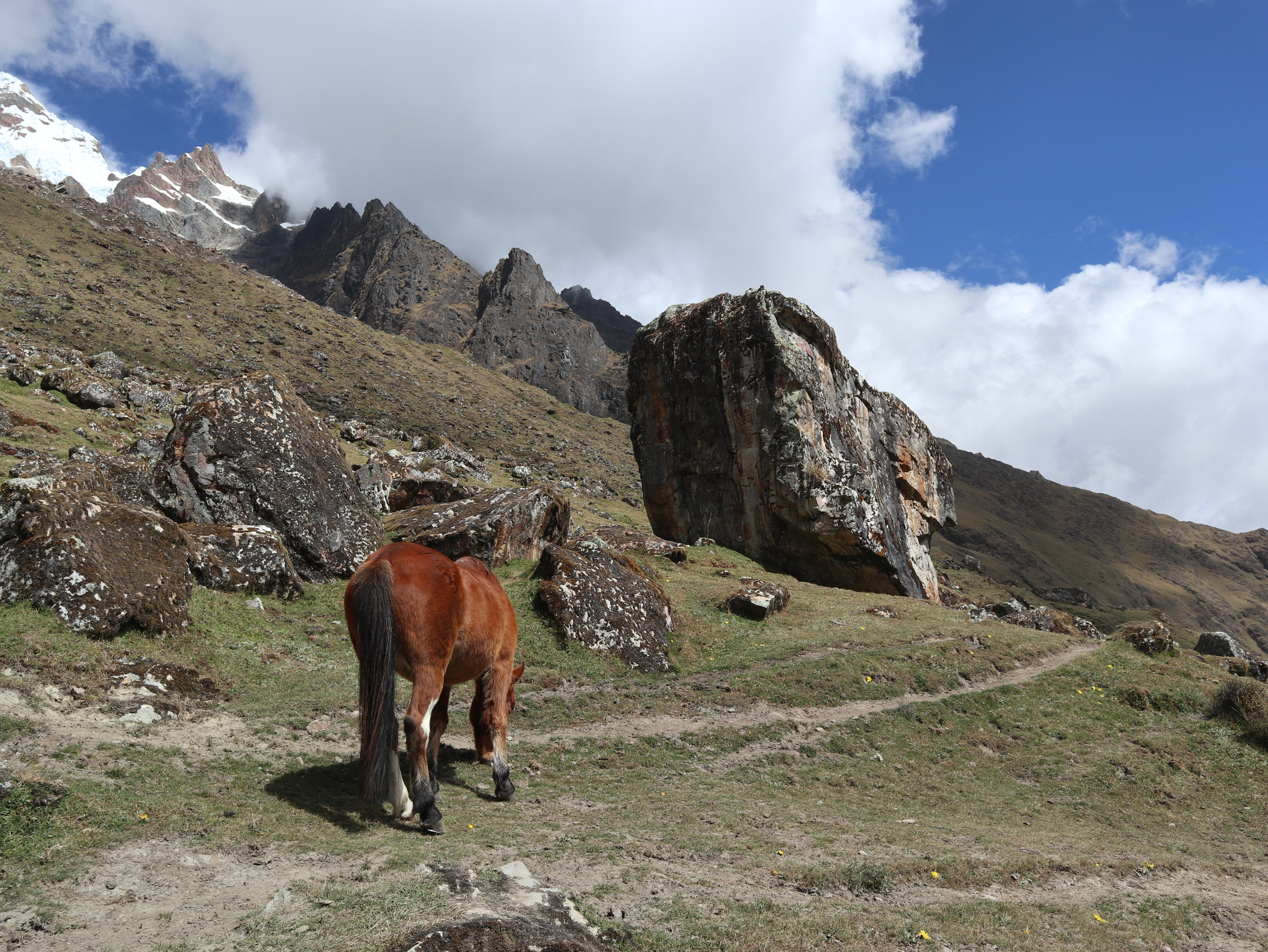 Description of photo 7